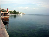 DSC04290