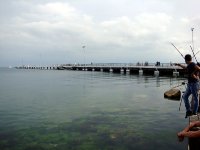 DSC04291