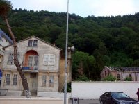 DSC04354