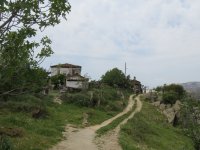 IMG_7248