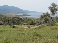 IMG_7268
