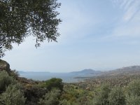 IMG_7283