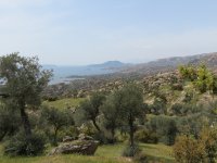 IMG_7292