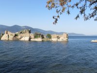 IMG_7328