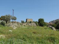 IMG_7331