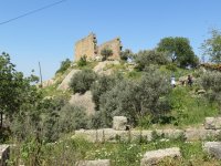 IMG_7344