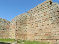 IMG_7354