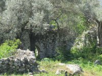 IMG_7361