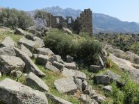 IMG_7365