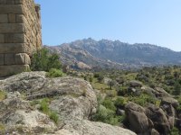 IMG_7372