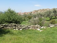 IMG_7376