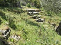 IMG_7383