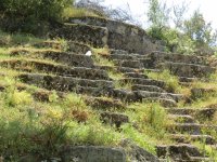 IMG_7384