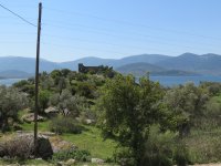 IMG_7396