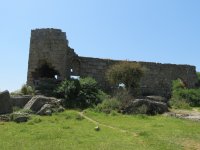 IMG_7398