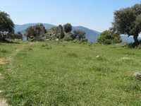 IMG_7400