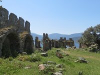 IMG_7401