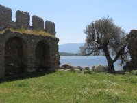 IMG_7403