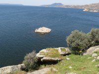 IMG_7409