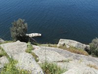 IMG_7410
