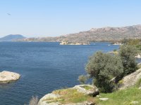 IMG_7415