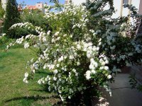 DSC04390