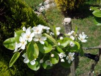 DSC04391