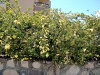 DSC04394