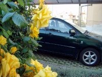 DSC04526