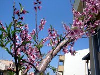 DSC07858