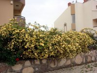 DSC08580