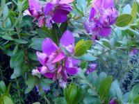 DSC08600