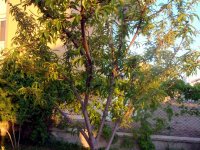 DSC08604