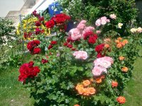 DSC08905