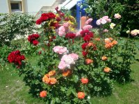 DSC08908