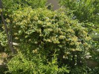 E34D0356-7FC5-45EE-B91A-4E70D4B31675-scaled