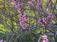 IMG_0023