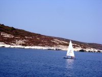 DSC09236