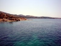 DSC09247