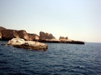 DSC09282