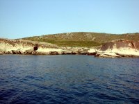 DSC09290