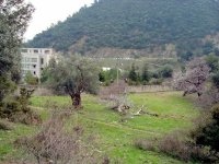 DSC04549