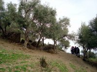 DSC04550