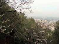 DSC04552