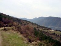 DSC04566