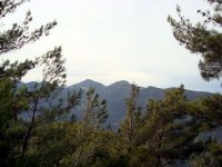DSC04575