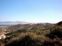 DSC01590