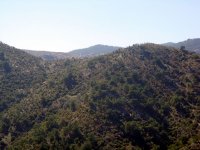 DSC01629