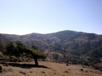 DSC01633