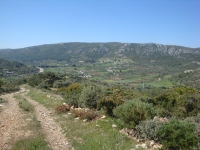 DSC08551